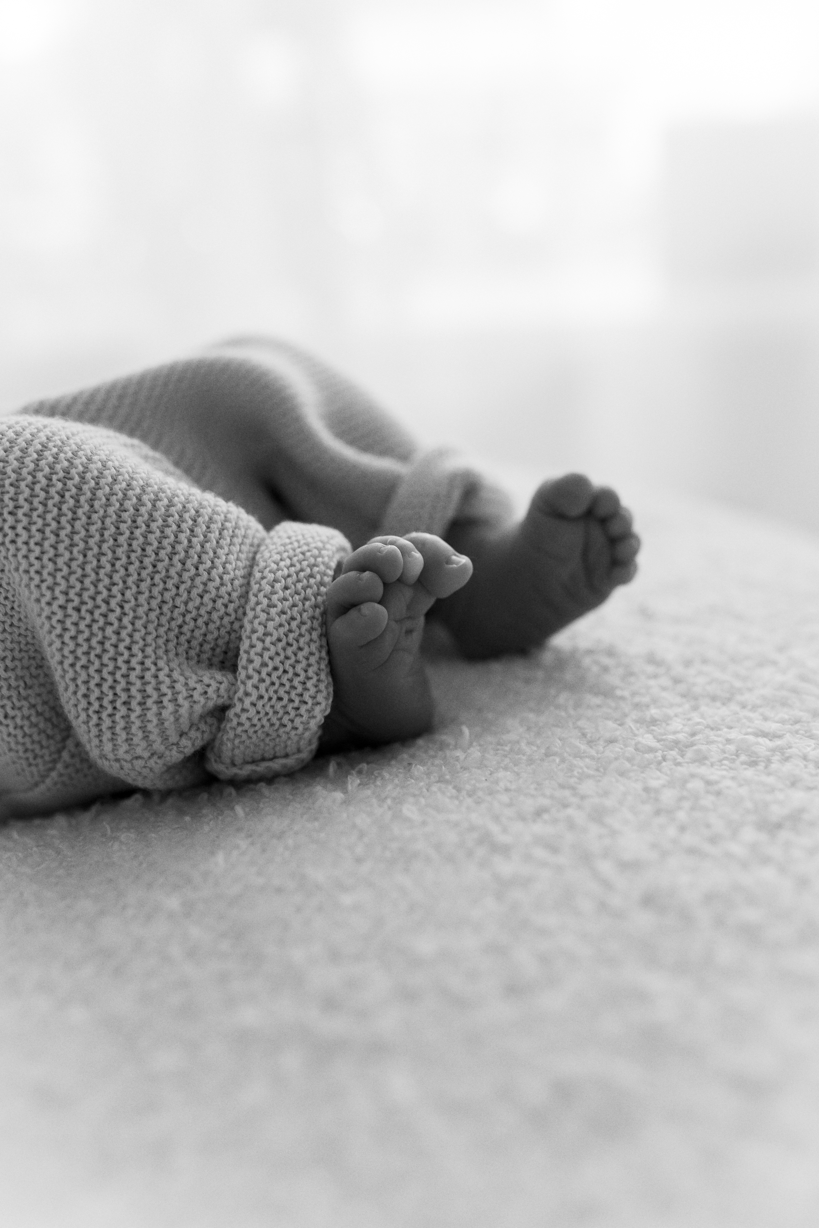 Newborn Fotografie