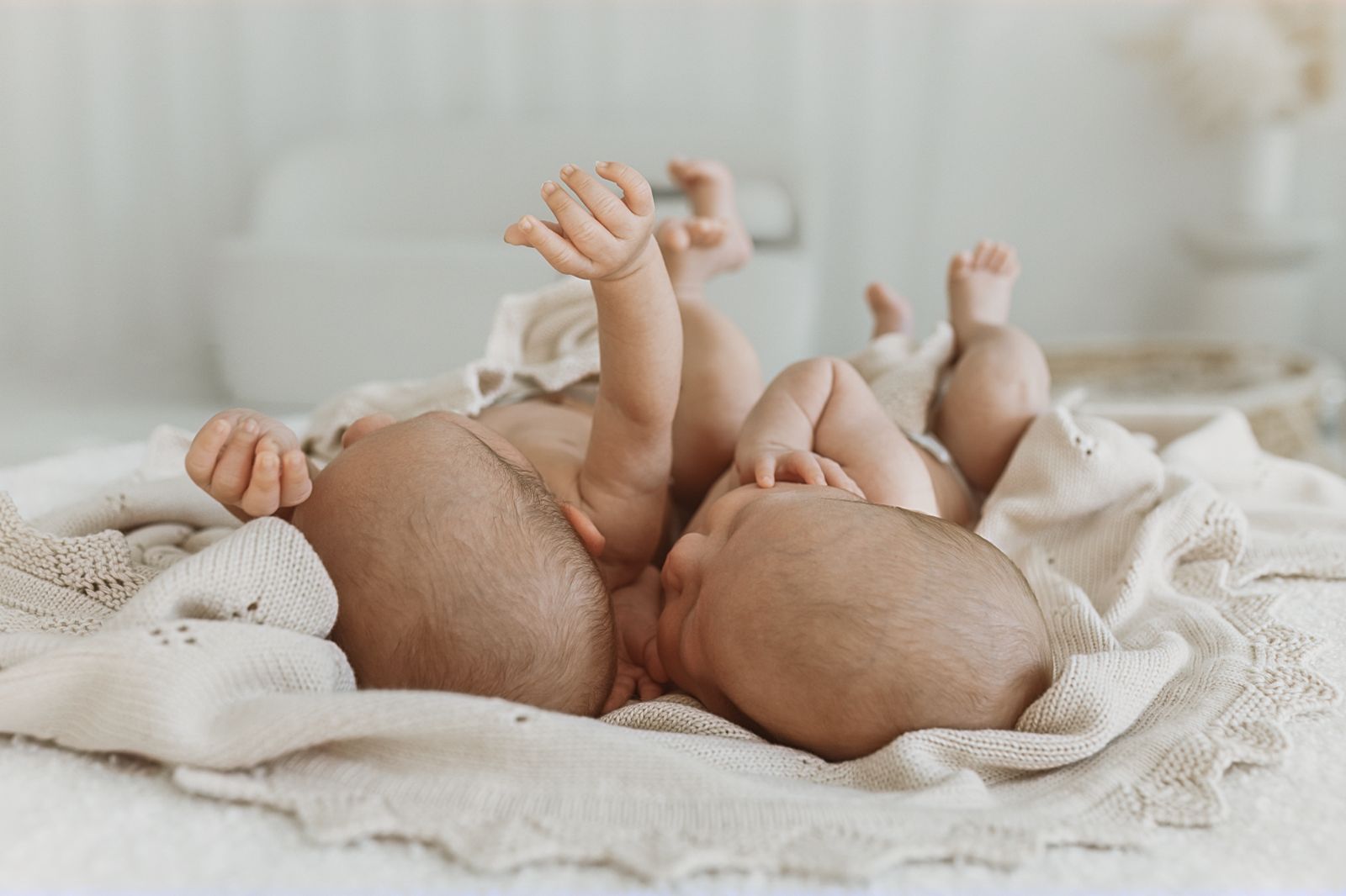 Newborn Fotografie