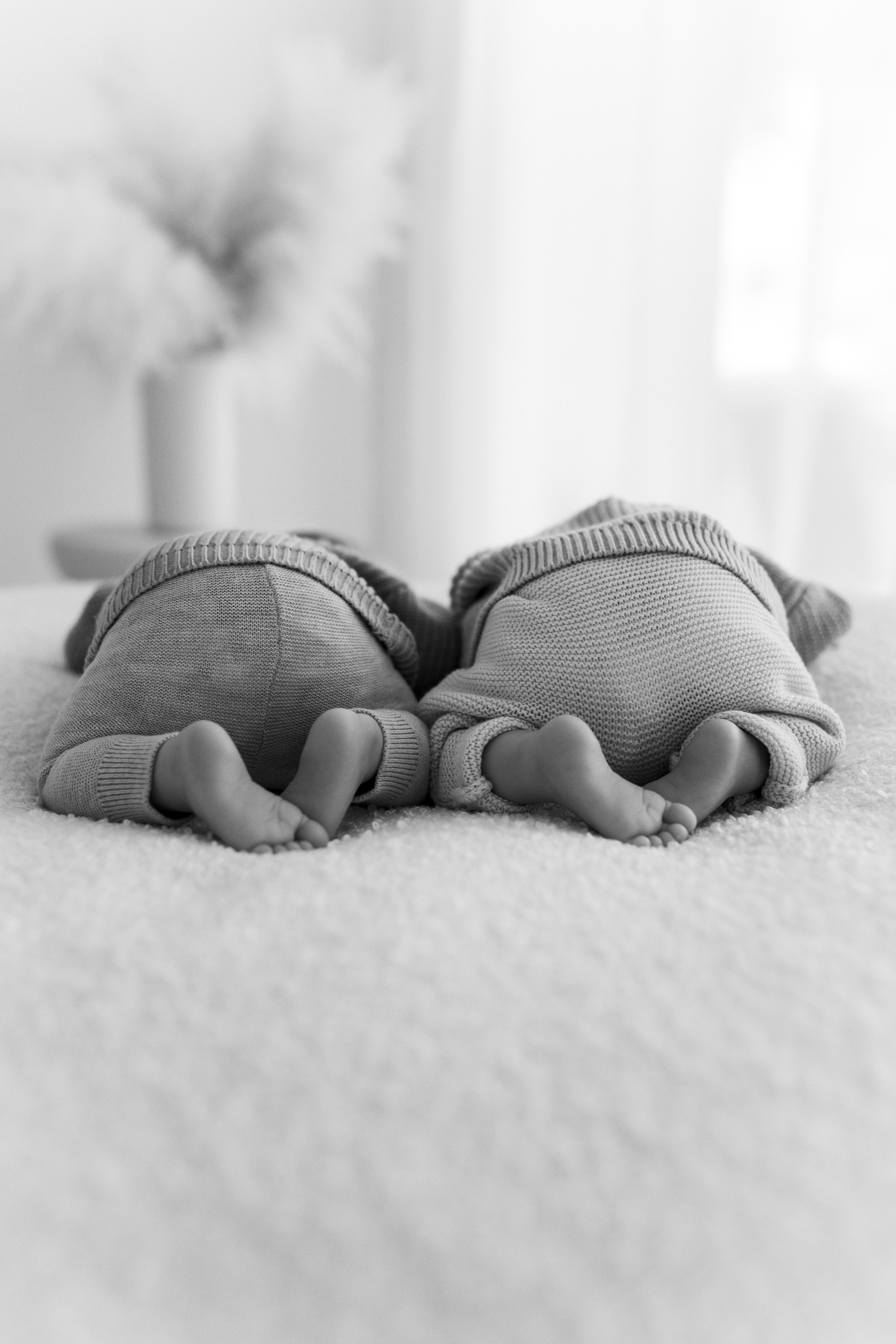 Newborn Fotografie